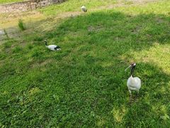 -哈尔滨北方森林动物园