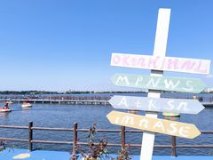 -鹅湖玫瑰文化园