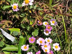 -白草畔自然风景区