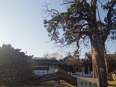 -司徒庙