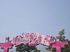 -北京凤凰岭