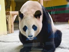 -杭州野生动物世界