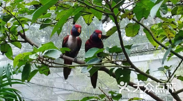 香港動植物公園圖片 - 第14張