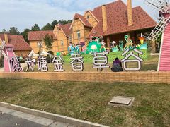 -大塘金香草谷