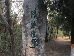-云岗森林公园