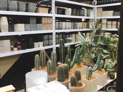 -秦美花卉(天朗·莱茵小城2期店)