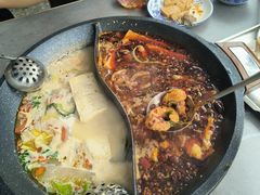 石锅鱼-秦巴石锅鱼