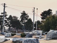 -中国唐苑