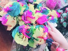 景点-荷兰花海