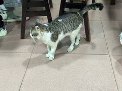 -朱儿面庄(洋河三路店)