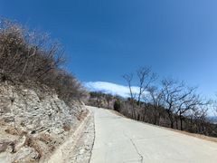 -北京西山国家森林公园