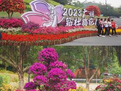 -广州市白云山风景名胜区