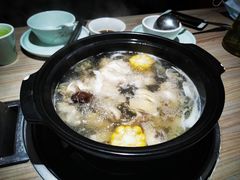 原味椰子鸡-探窝·竹笙椰子鸡(杨箕店)