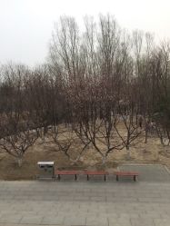 -大望京儿童游乐场