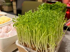 -海底捞火锅(银泰中心店)