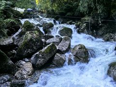 -青城山