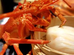 龙虾饺-海航大厦万豪酒店彩海轩中餐厅(霄云路店)