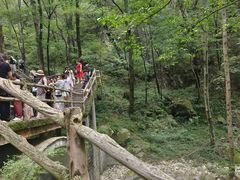 -牛背梁国家森林公园