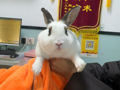 -嘉馨宠物医院·CT影像转诊·心脏科·犬猫全科诊疗中心(下沙大学城院区)