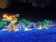 -广东花都香草世界旅游度假区