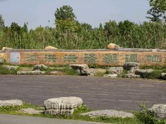 -泗洪洪泽湖湿地景区