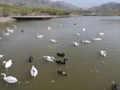 -新疆天山野生动物园