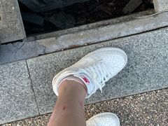 -阳澄湖半岛旅游度假区