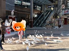 -中粮·祥云小镇