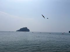 -棒棰岛宾馆景区