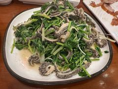 芫爆肚丝-北平小馆·烤鸭·家常菜(磨房北里店)