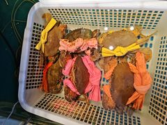 -柳记海鲜坊·蒸汽海鲜·福州菜·香辣蟹(芳群园店)