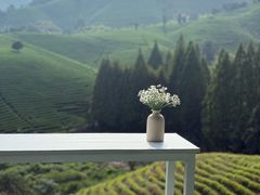 -帐篷客·溪龙茶谷度假酒店