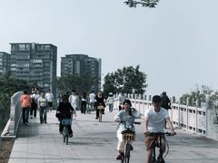 -顺峰山公园
