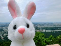 -紫金山山顶公园