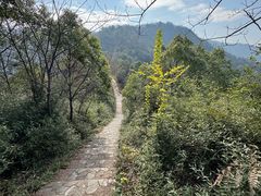 -桃花岭景区