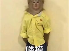 -清真马家美食城•海鲜•青岛菜•火锅(延安三路店)
