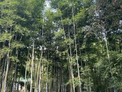 -广东温泉宾馆