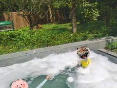 -太阳岛度假酒店