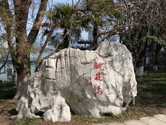 -金鸡湖桃花岛