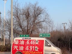 -大港湿地公园