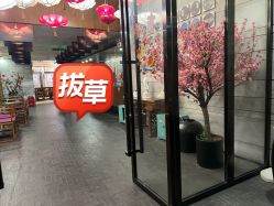 -盘子女人坊生日照·摄影馆(华强店)