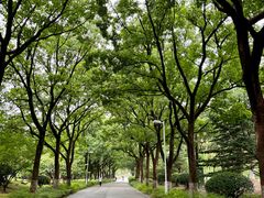-白塘生态植物园