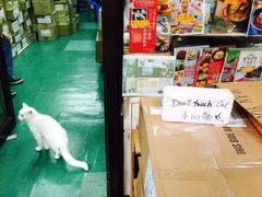 -义顺牛奶公司(庇利金街店)