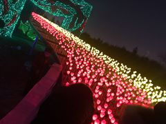 -长春公园(普阳街道)