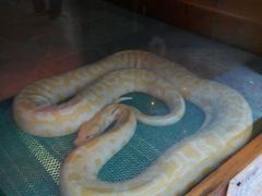 android_upload_pic-上海大自然野生昆虫馆