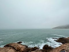-广东惠东海龟国家级自然保护区