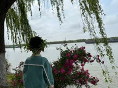 -太阳岛度假酒店