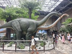 -国家自然博物馆