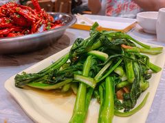 猪油炒菜心-靓靓蒸虾·头牌蒸虾(南山桂庙店)