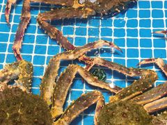 -连鹭海鲜·海肠捞饭·海胆饭(星海店)